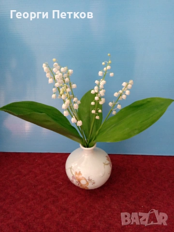 Момина сълза - 10 коренчета.