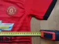 Manchester United / #7 Alexis - детска футболна тениска Манчестър Юнайтед, снимка 8