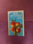 Книги за лозарство и овощарство , снимка 3