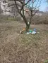 Почистване на мази тавани апартаменти почистване на дворни места парцели, снимка 11
