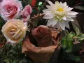 Момчета кавалер Кинг Чарлз шпаньол, снимка 5