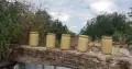 Продавам 2 тенекии мед от рапица, снимка 1