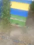 Пчелни семейства, снимка 2