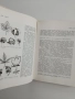 Растениевъдство ( том 3 ), снимка 4