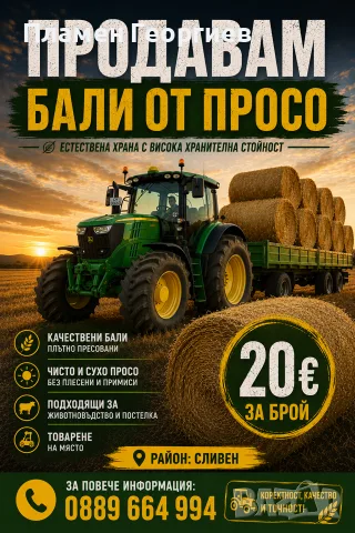 Продавам Бали просо реколта 2026