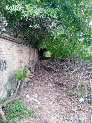 Къща с двор 2,5 декара в село Ресен, снимка 13 - Къщи - 55335764
