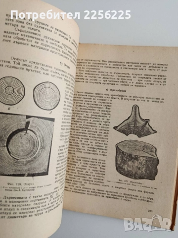 Дървесинознание, снимка 3 - Специализирана литература - 55420401