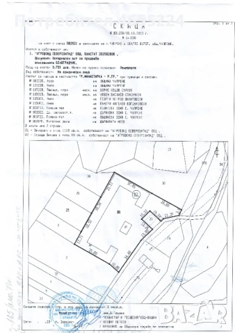 Кошара Чупрене, снимка 10 - Парцели - 54411151