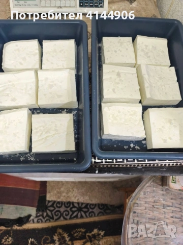 Пастьоризирано козе сирене, снимка 4 - Кози - 54575451