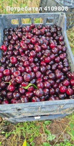 Продава, снимка 2 - Други услуги - 54806657