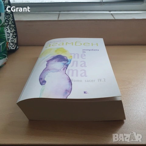 Употребата на телата | Джорджо Агамбен, снимка 3 - Други - 54430864