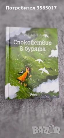 Спокойствие в бурията
