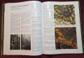 Голям сателитен атлас - горите на Европа / Satellite Remote Sensing Forest Atlas of Europe, снимка 15