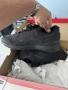 НОВИ маратонки Reebok 44.5 US11, снимка 10