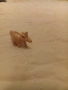 супер сладка готина мини играчка много рядка от яйце, снимка 2