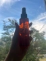 Слънцезащита youth lab spf50, снимка 2