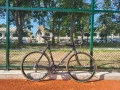 Шосеен Trek full carbon full  Campagnolo , снимка 1