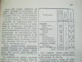 История на евреите в Западна Европа, снимка 13
