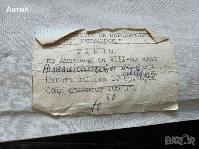 Соц Учебни Медицински Плакати Постери Табла, снимка 9 - Антикварни и старинни предмети - 55691032
