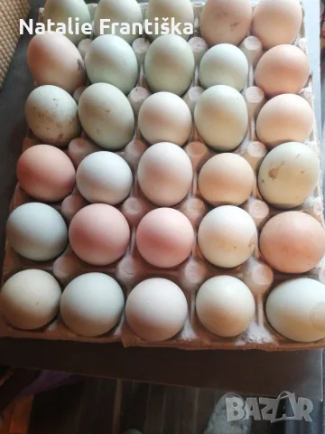 Продавам кокоши яйца, 30 яйца за 5 евро.