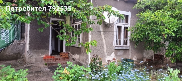 Продавам дворно място 2дка със стара къща в с. Борисово, обл. Русе, снимка 5 - Къщи - 54801509