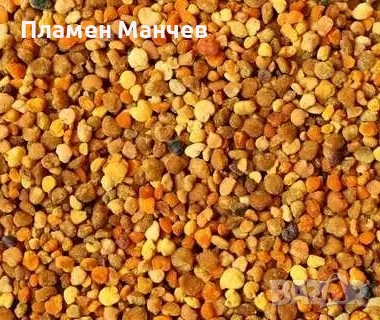 Продавам замразен пчелен прашец реколта 2026 г.