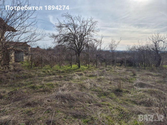Продавам къща в село Черковна община Провадия област Варна , снимка 10 - Къщи - 54673792