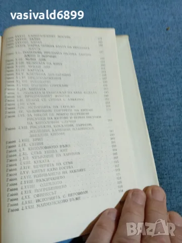 Хърман Мелвил - Моби Дик , снимка 7 - Художествена литература - 55402990