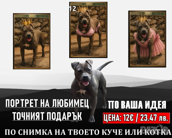 Забавен портрет на вашия домашен любимец