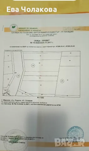 Продавам лозе, подходящо за парцел в с.Марково, община Родопи, снимка 2 - Парцели - 55471124