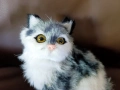 Реалистично коте, плюшена играчка имитираща котка, снимка 3