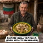 Инкубатор за 52 яйца. Електрически инкубатор регулируем термос, снимка 1