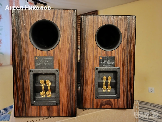 Продавам тонколони SWANS DIY 2.2, снимка 4 - Тонколони - 54182318