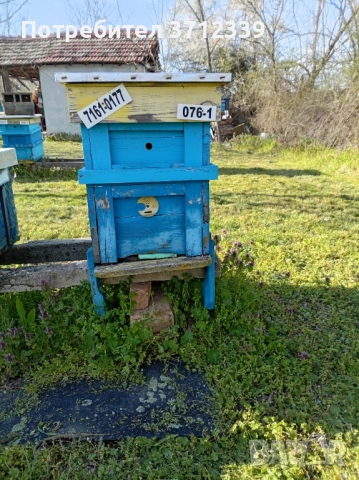 9 рамкови кошери, снимка 5 - Други - 54159749