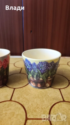 Комплект малки кашпи, снимка 5 - Стайни растения - 54350795
