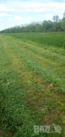 Продавам бали от люцерна