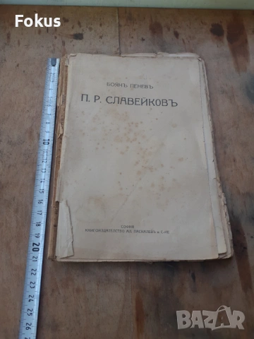 Стара царска книжка книга П.Р.Славейковъ, снимка 7 - Антикварни и старинни предмети - 54295154
