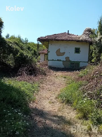 Къща с двор 2,5 декара в село Ресен, снимка 10 - Къщи - 55335764