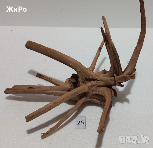 Корен от Азалия /декорация/ 25, снимка 4 - Други - 53396788