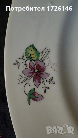 Порцеланова чиния на Дянко Стефанов , снимка 2 - Чинии - 54351872