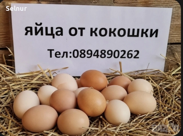 Домашни селски яйца 