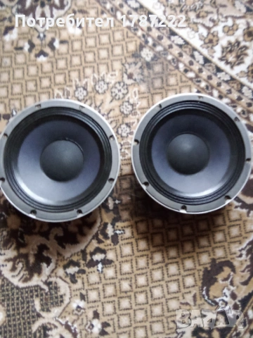 Говорители 10 инча.
