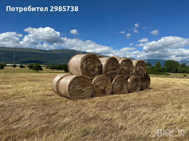 Ролонни бали сено, снимка 7 - За селскостопански - 55593659