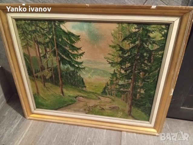 Картина горски пеизаж, снимка 2 - Картини - 54607666