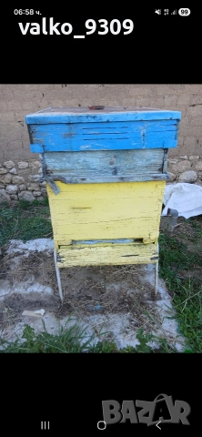 Пчелни семейства 12р, снимка 6 - Други животни - 54324427