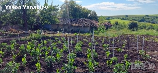 Продавам Напълно Обзаведена Къща., снимка 5 - Къщи - 54988233