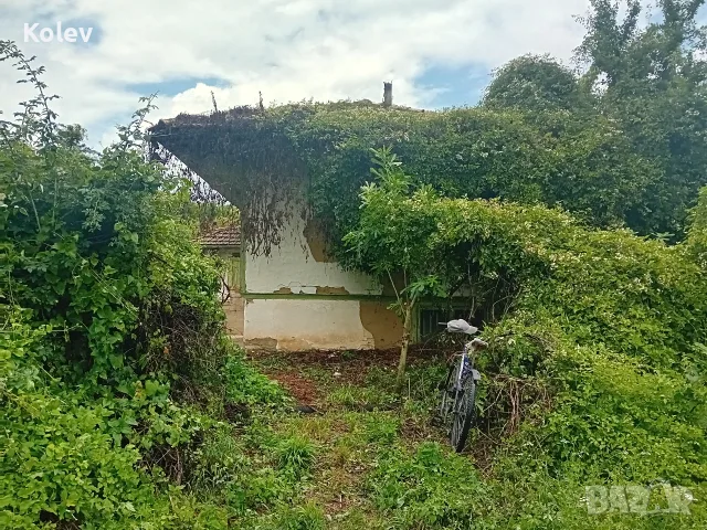 Къща с двор 2,5 декара в село Ресен, снимка 7 - Къщи - 55335764