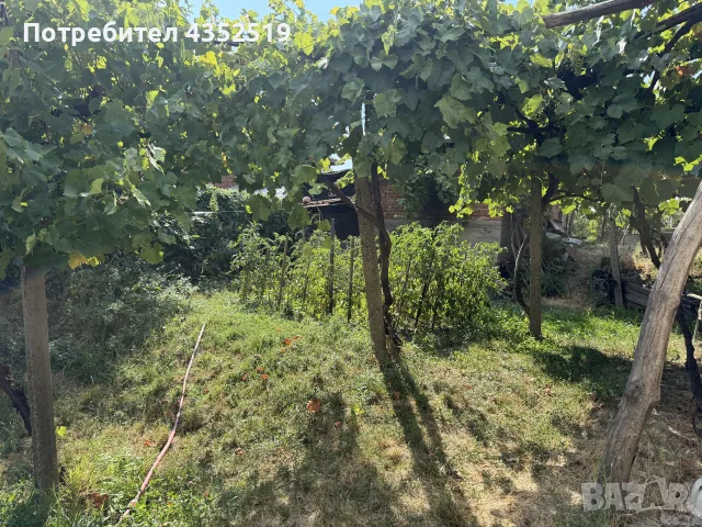 ЕКСКЛУЗИВНО! Масивна двуетажна къща с гараж и двор в с. Брежани, община Симитли, снимка 8 - Къщи - 55566078