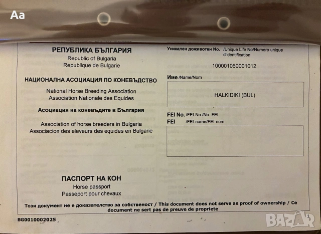 Дунавска кобила , снимка 2 - Коне - 55192763