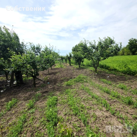 Парцел с овошки